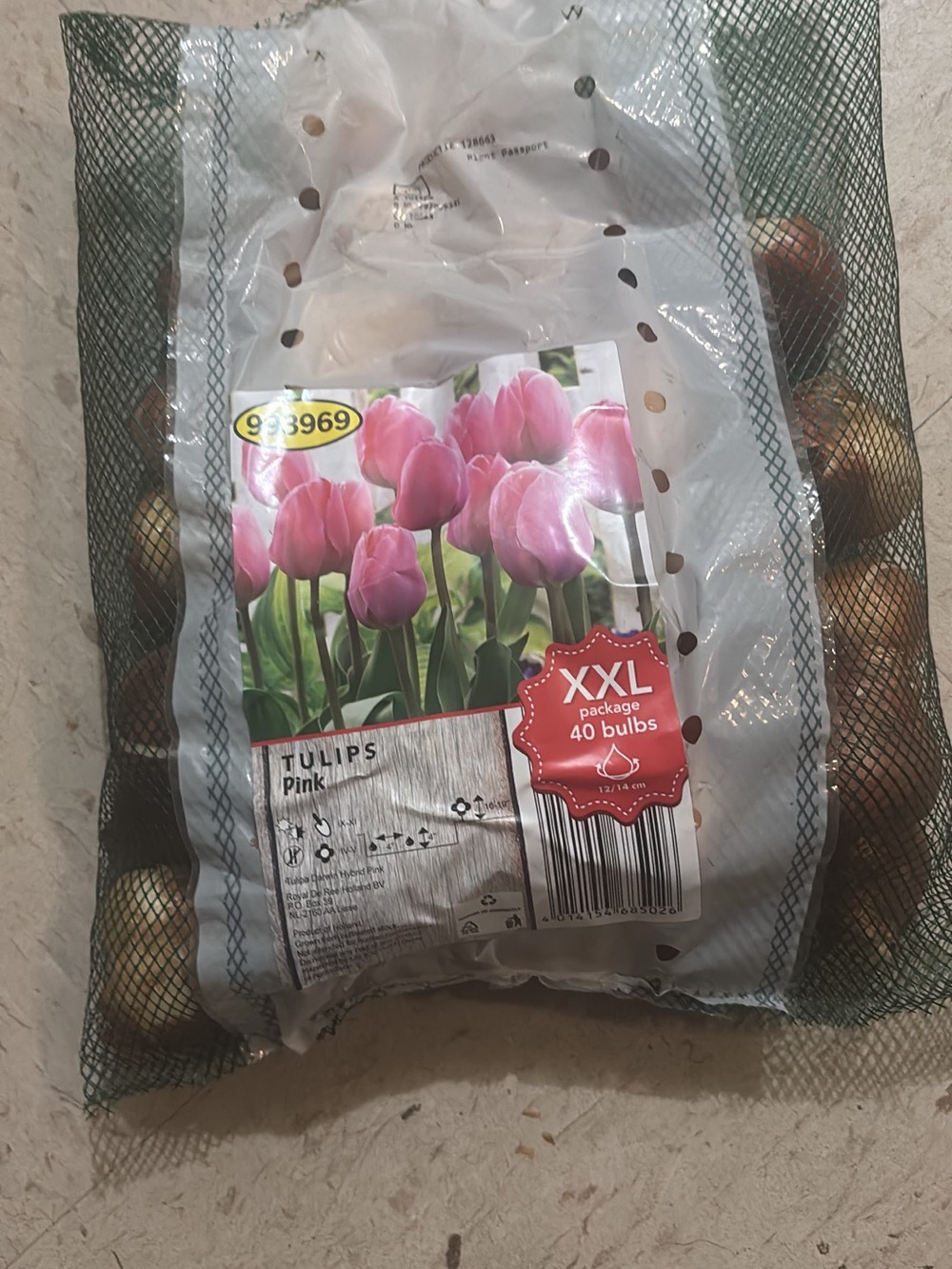 XXL Pink Tulip Bulb Pack - 40 Bulbs